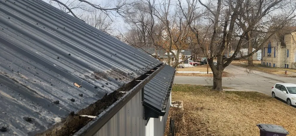 Slide of Bearded Handyman