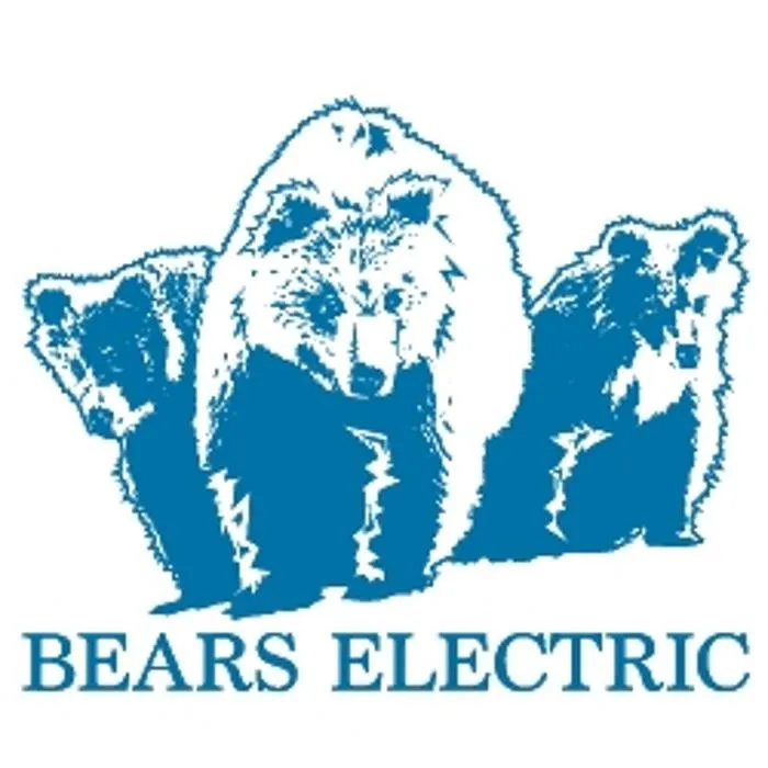 Reliable panel upgrade in , by Bears Electric
