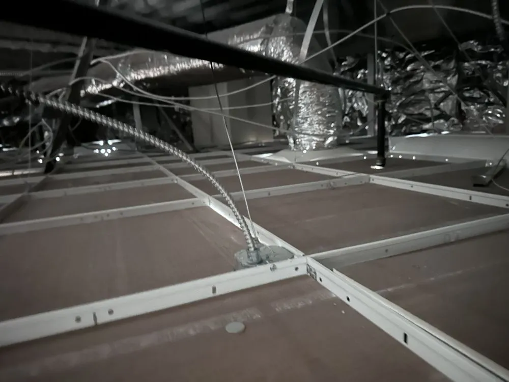 Slide of Beast Electric