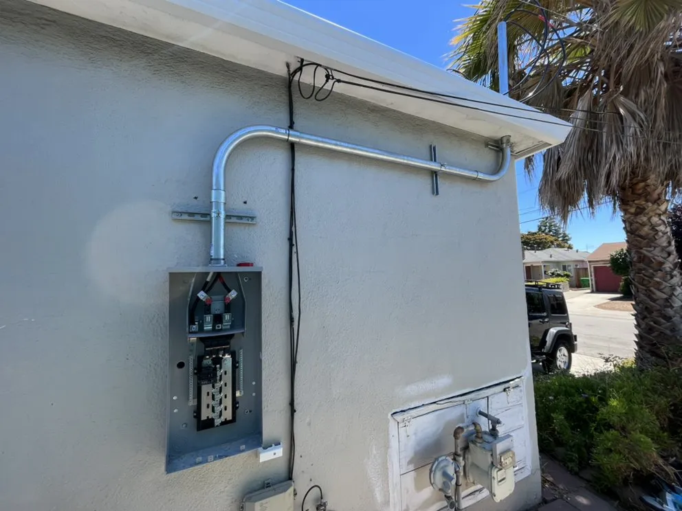 Slide of Bee Daly Electric