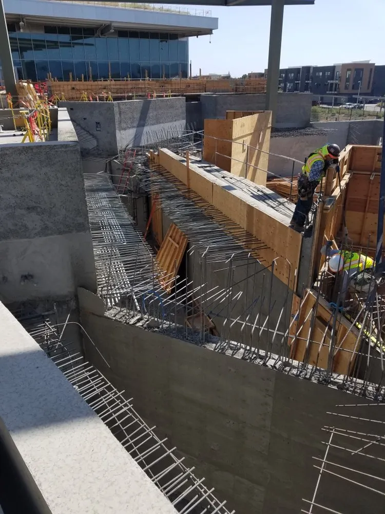 Slide of Bee Daly Electric