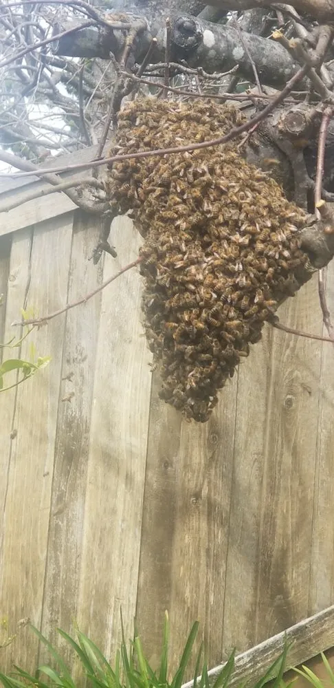 Reliable electrician providing wiring installation in , 