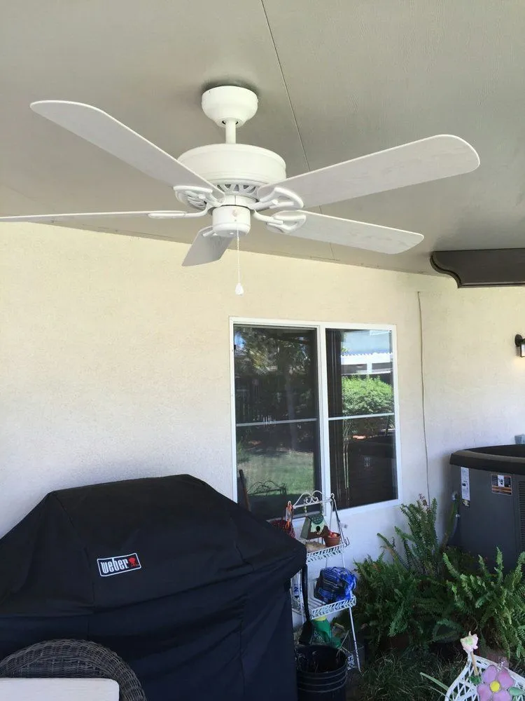 Slide of Bee Green Electric