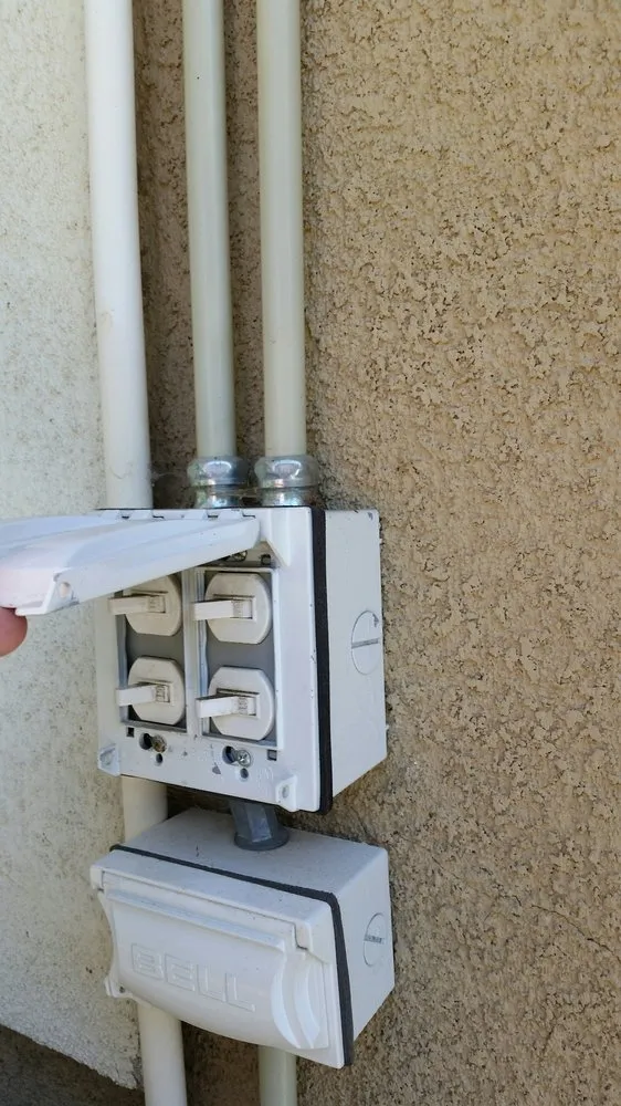 Slide of Bee Green Electric