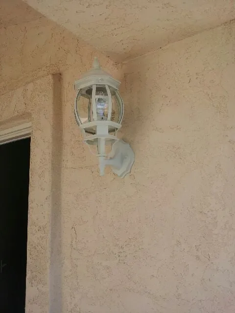 Slide of Bee Green Electric