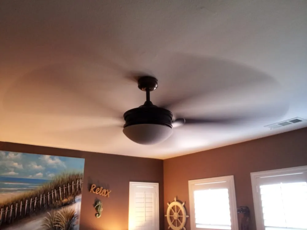 Slide of Bee Green Electric