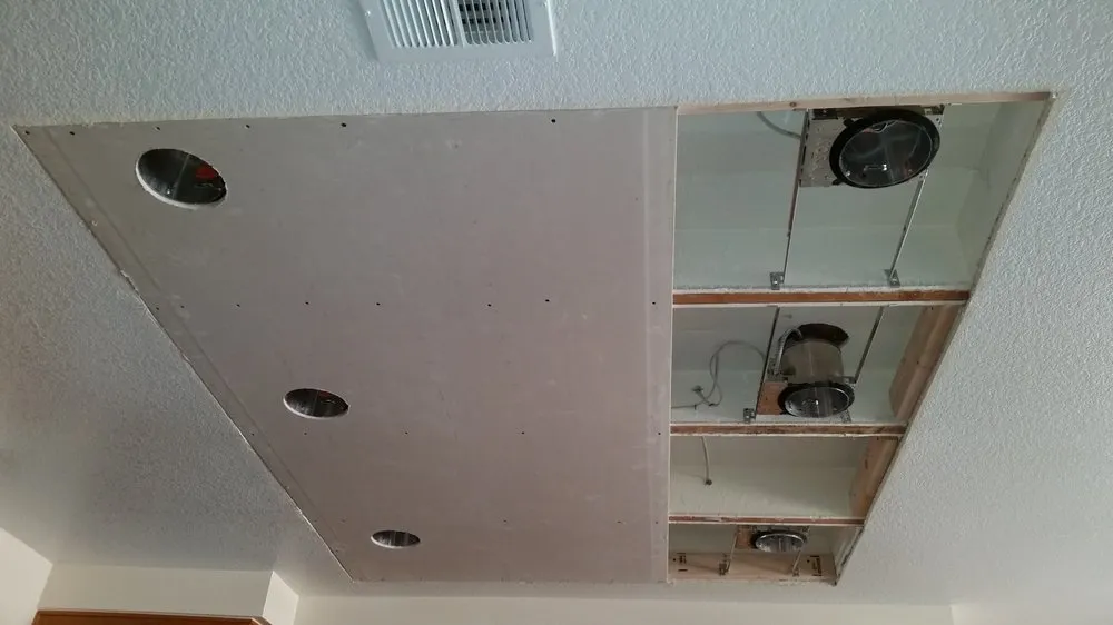 Slide of Bee Green Electric