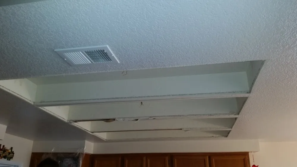 Slide of Bee Green Electric