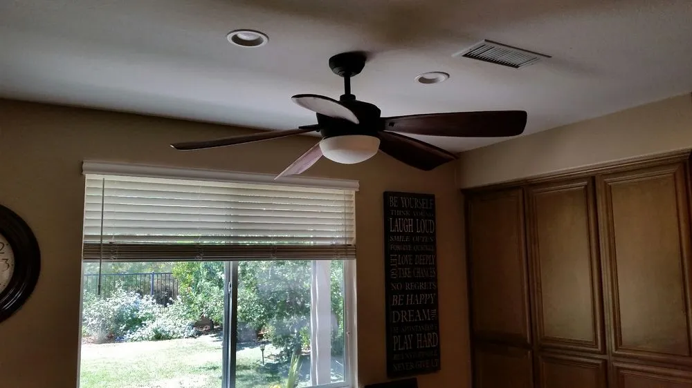 Slide of Bee Green Electric