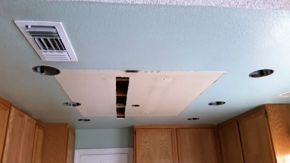 Slide of Bee Green Electric