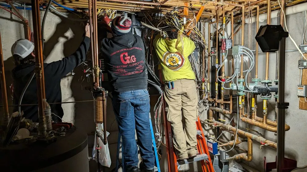 Slide of Bee-Lectric