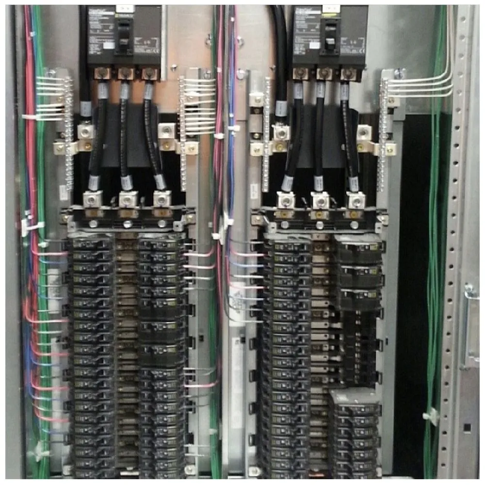 Slide of Bee-Lectric