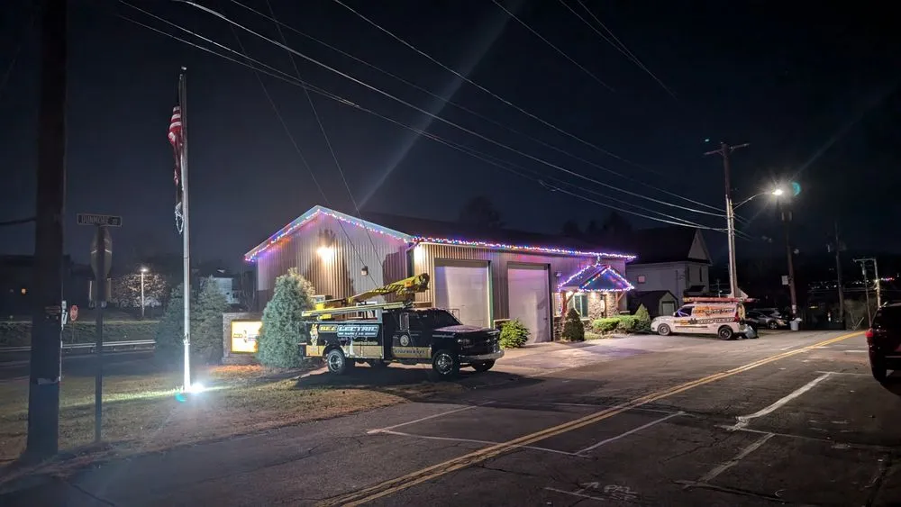 Slide of Bee-Lectric