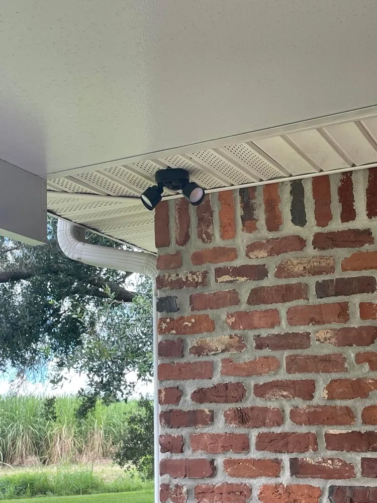 Slide of Bee Light Electric