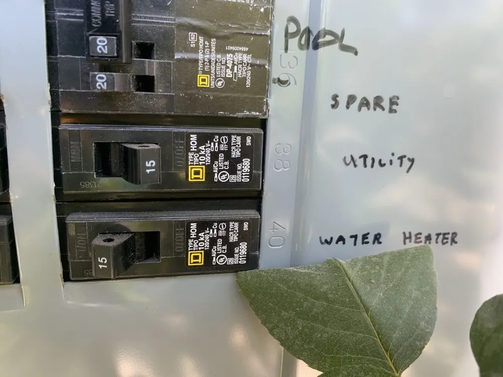 Slide of Bee Thumb Electric