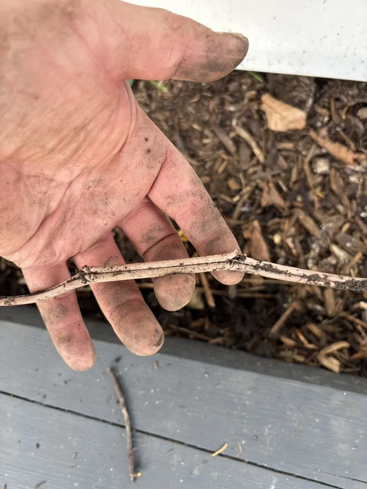 Slide of Bel Electric