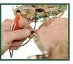 Trusted electrical repair service in Tarzana, CA - Belco Electric Service