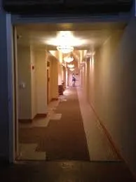 Slide of Bell Blvd Electricians