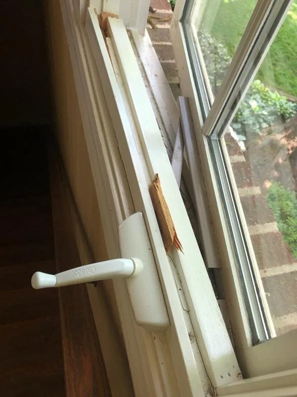 Slide of Bella Home Services