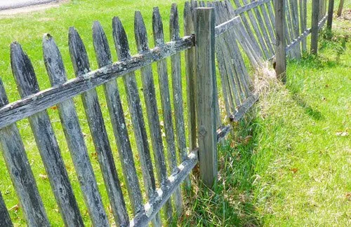 Slide of Bella Home Services