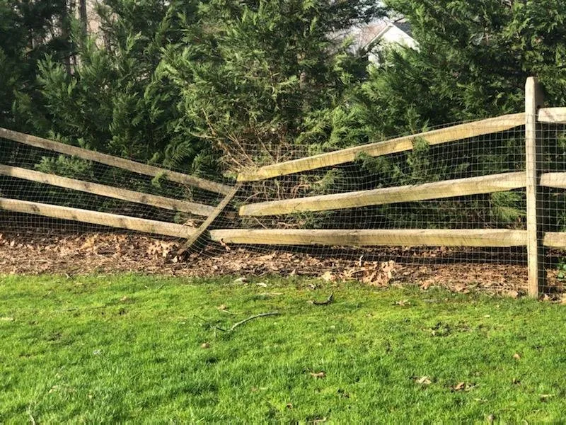 Slide of Bella Home Services