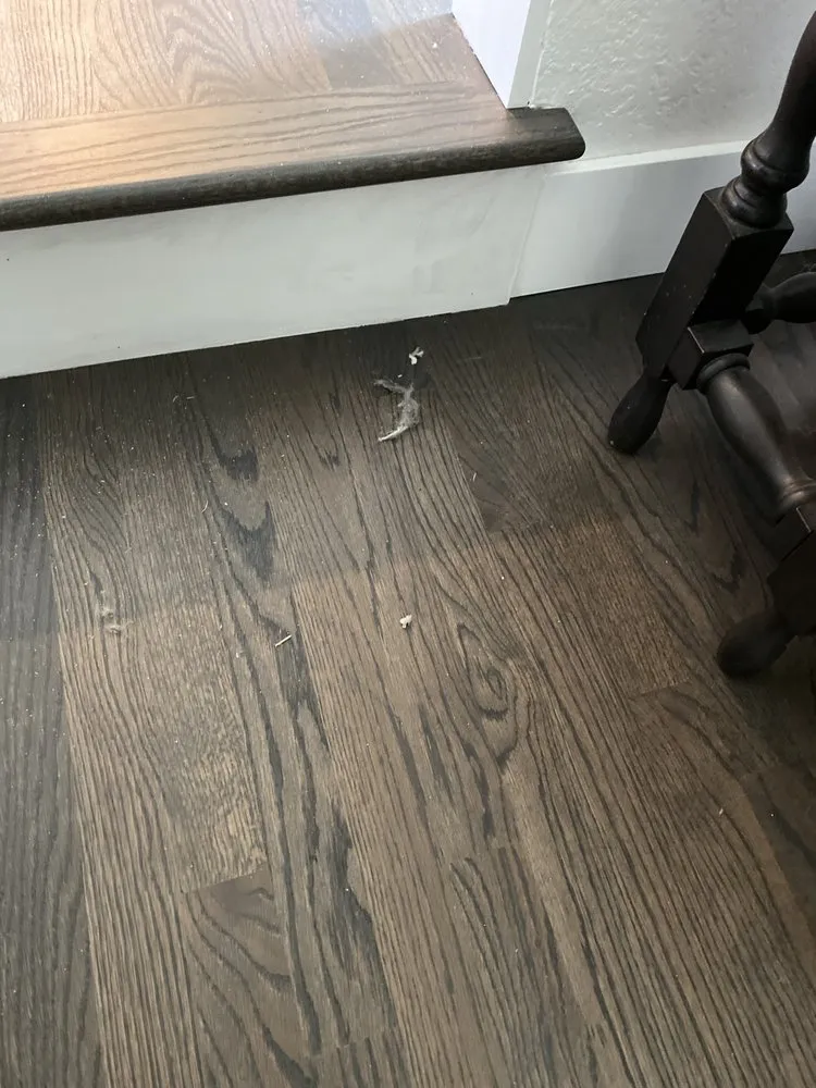 Licensed emergency electrical service service in ,  - BelRed Heating, Cooling, Plumbing & Electrical