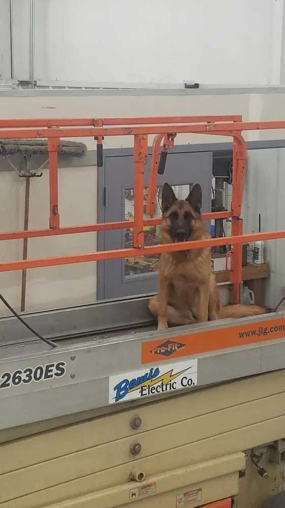 Professional electrician providing emergency electrical service in , 