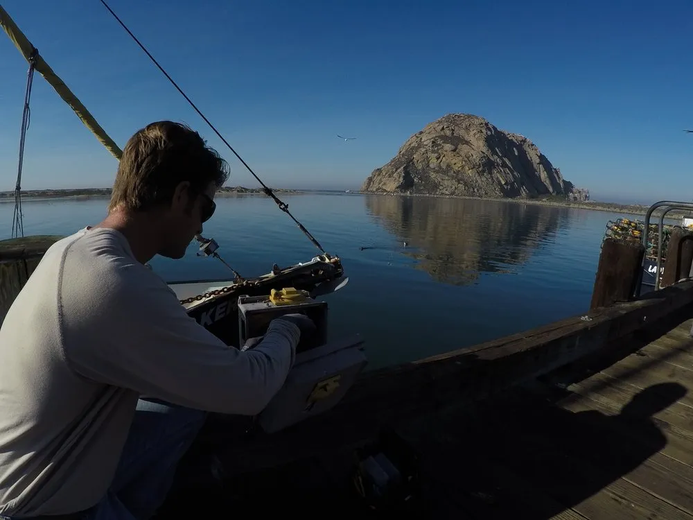 Slide of Ben Musson Electric