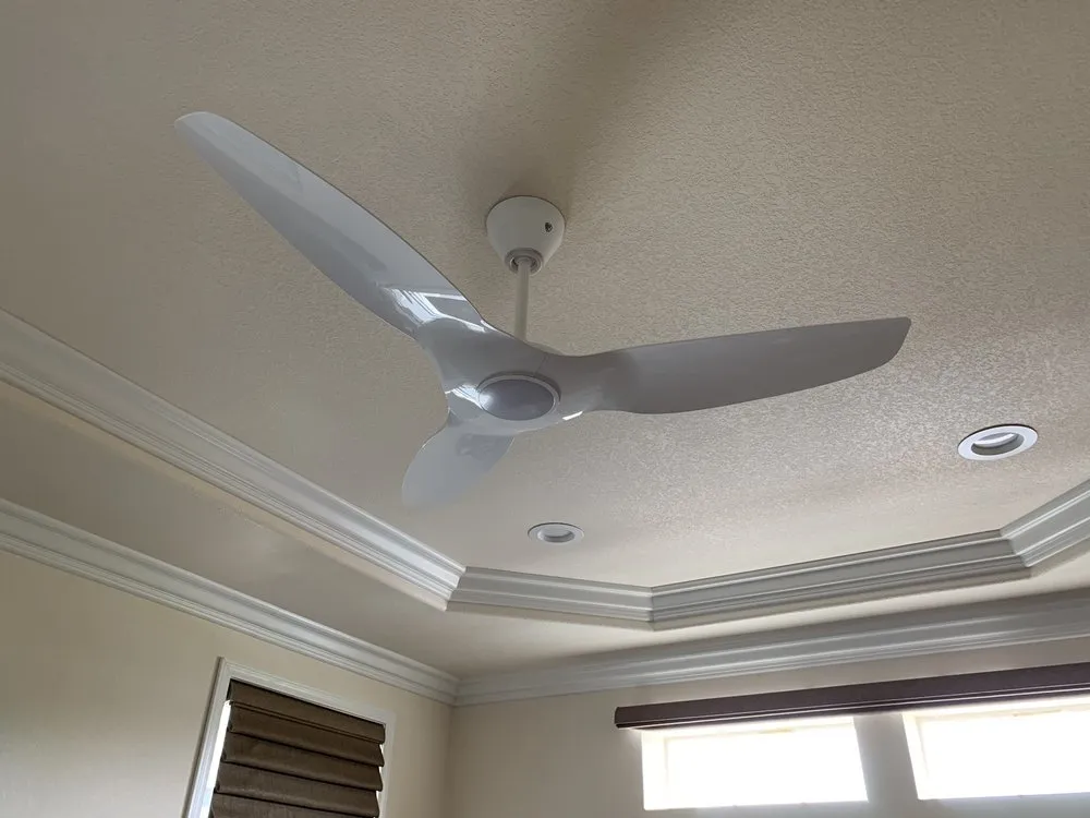 Slide of Ben Musson Electric