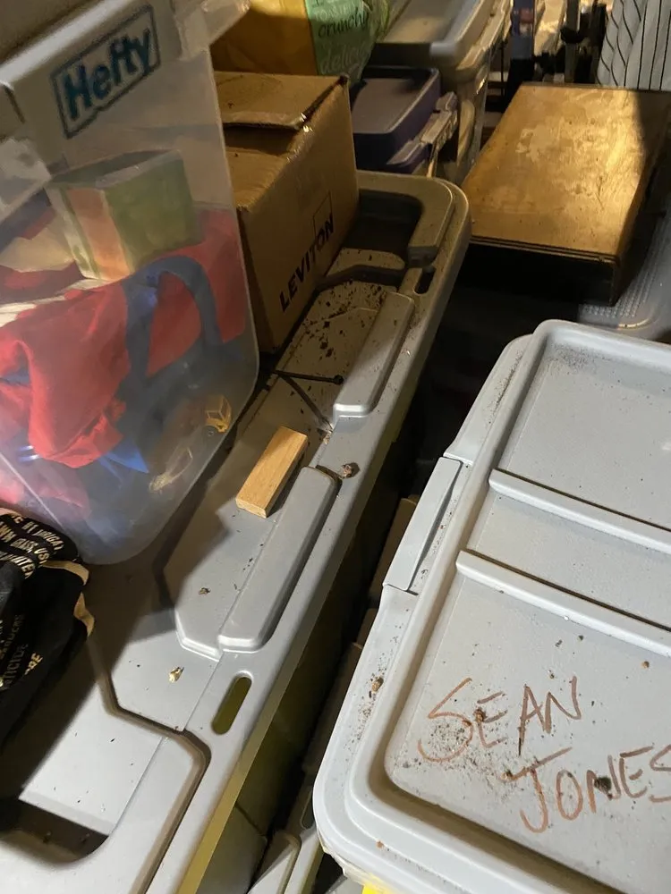 Slide of Ben's ProServ