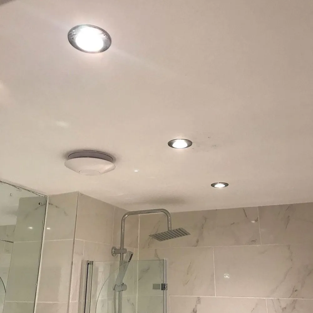 Slide of Bergen Beach Electric