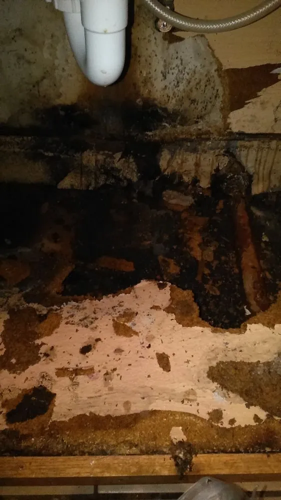 Trusted emergency electrical service in ,  by Bernal Handyman