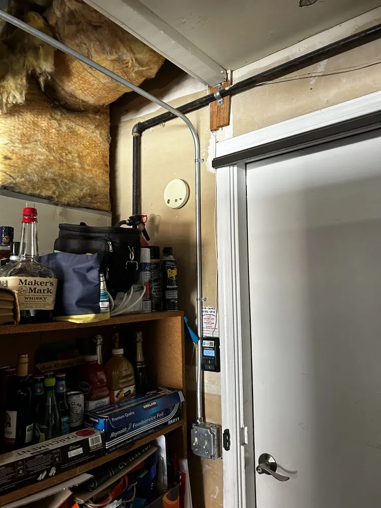 Slide of Bespoke Electric