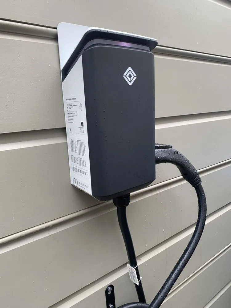 Slide of Bespoke Electric