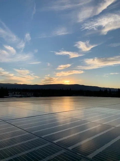 Slide of Bespoke Electric