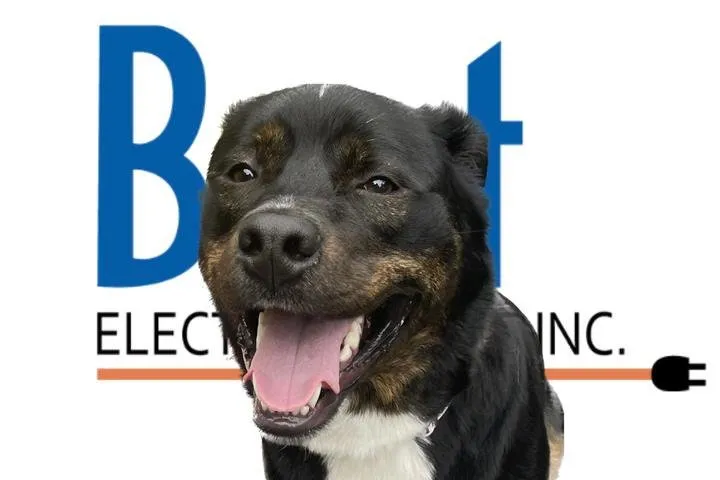 Slide of Best Electric Service