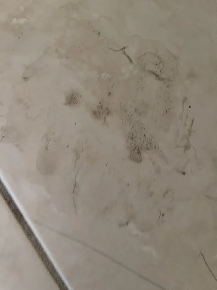 Slide of Best Home Services