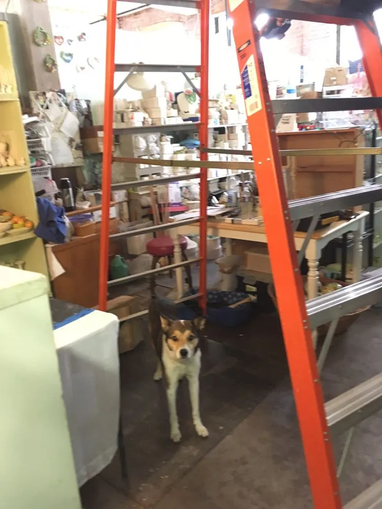 Licensed electrical repair experts serving , - Best Wiring Electrical