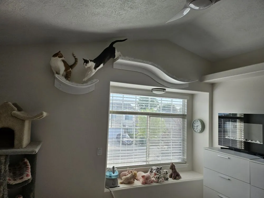 Slide of Better Fix Property Services & Construction