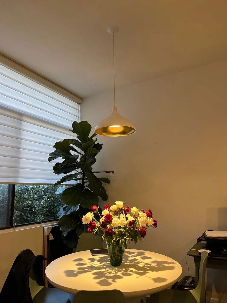 Professional electrician providing lighting installation in Sylmar, CA - BFF Build For Family