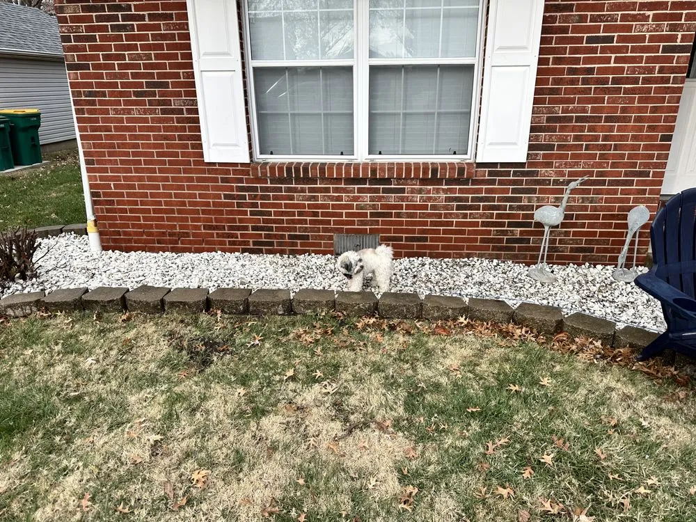 Slide of Bi-State Construction