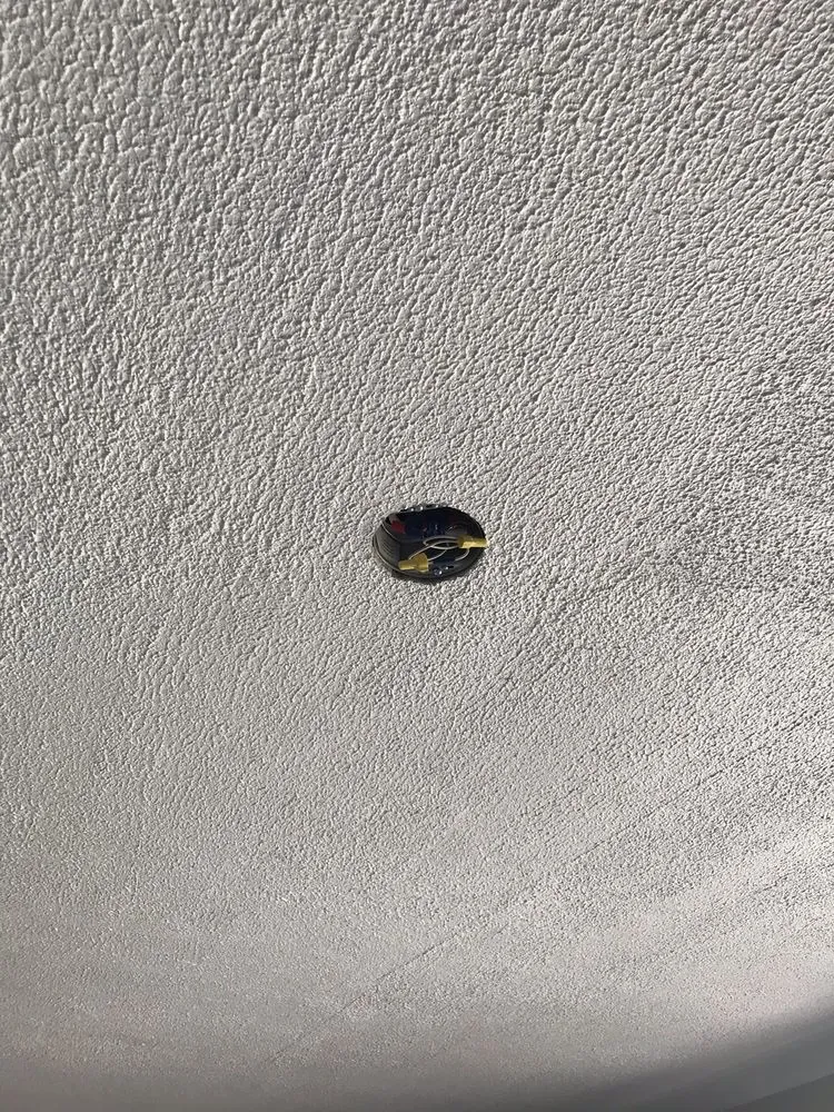 Slide of Bias Electric and Solar