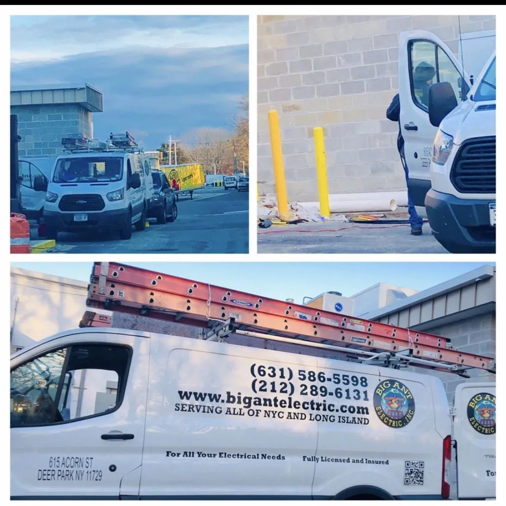 Slide of Big Ant Electric