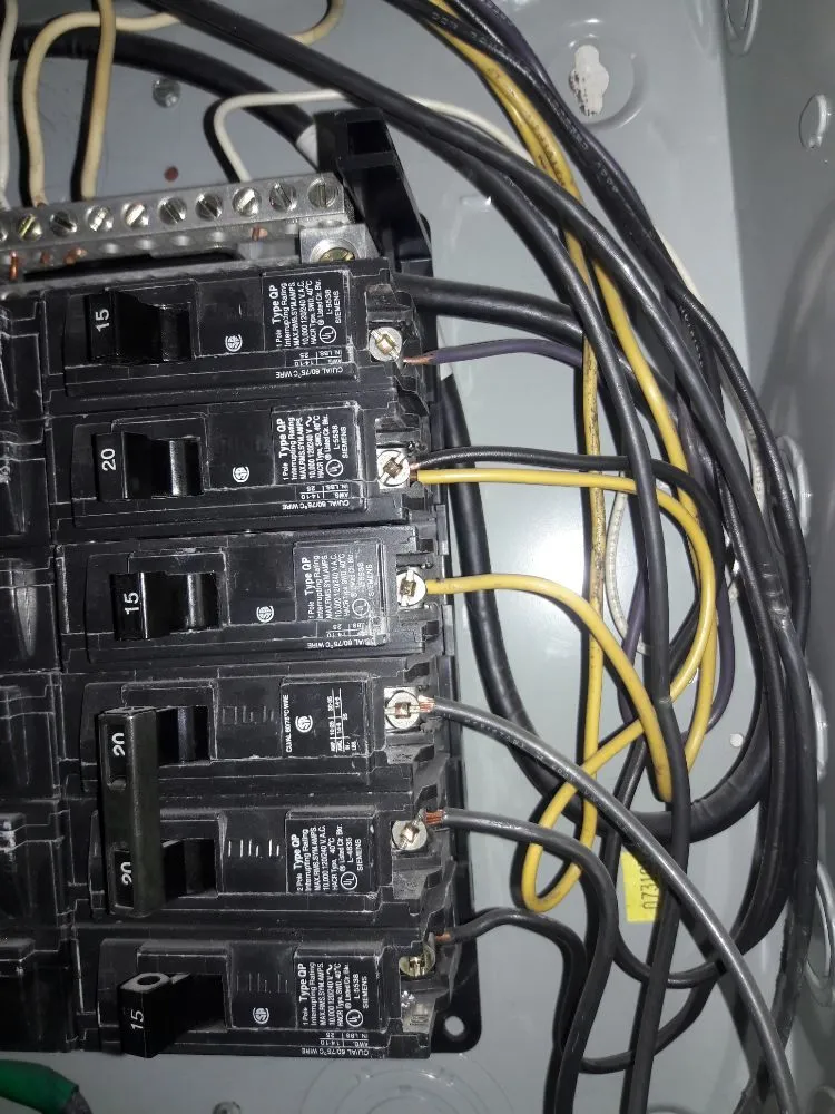 Slide of Big City Plug