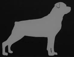 Slide of Big Dog Electric