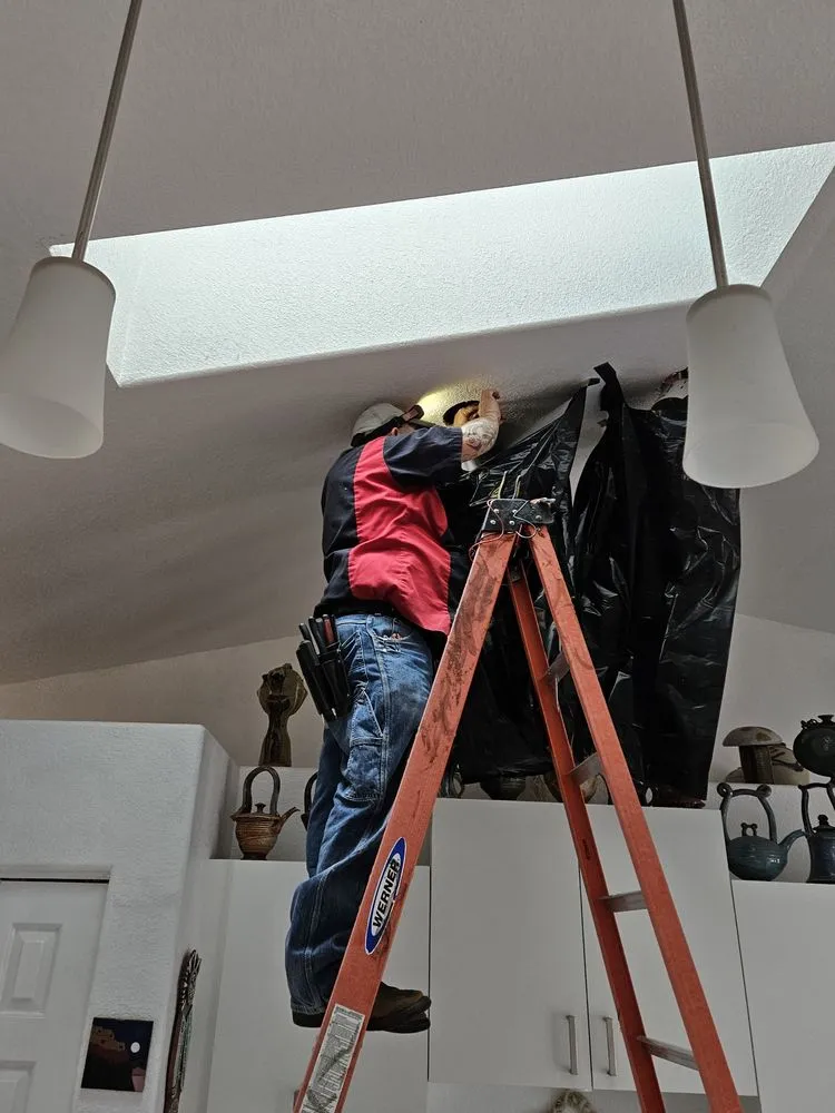 Slide of Big Dog Electric