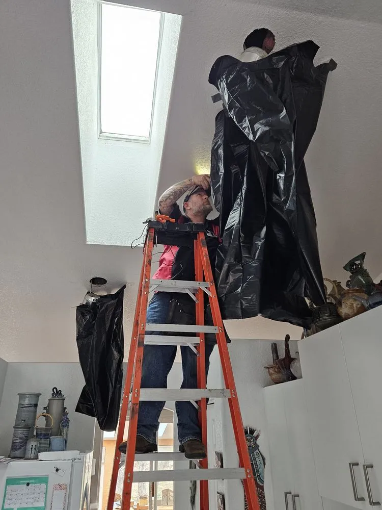 Slide of Big Dog Electric