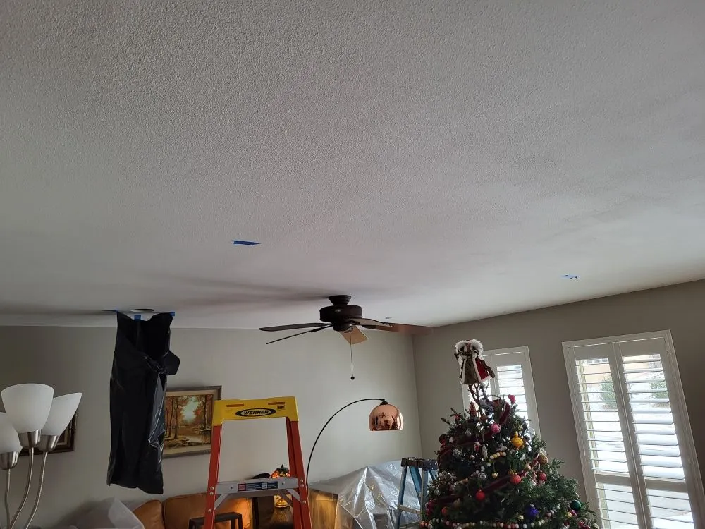 Slide of Big Dog Electric