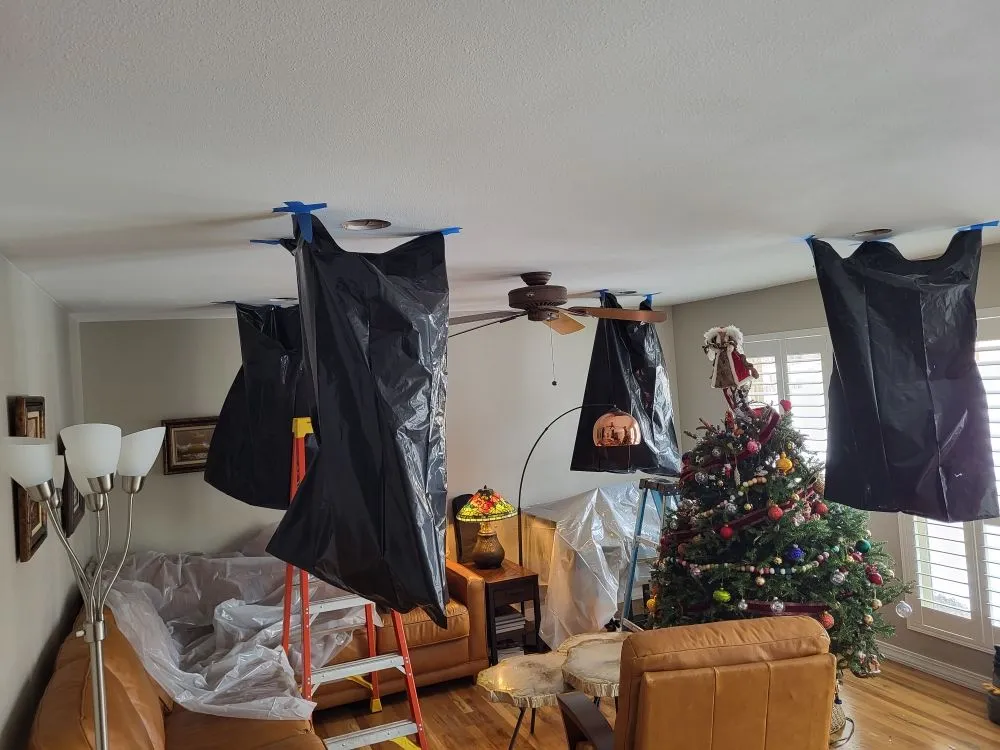 Slide of Big Dog Electric