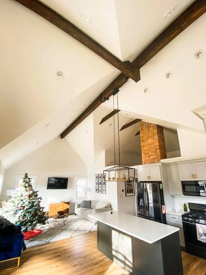 Slide of Big Dog Electric